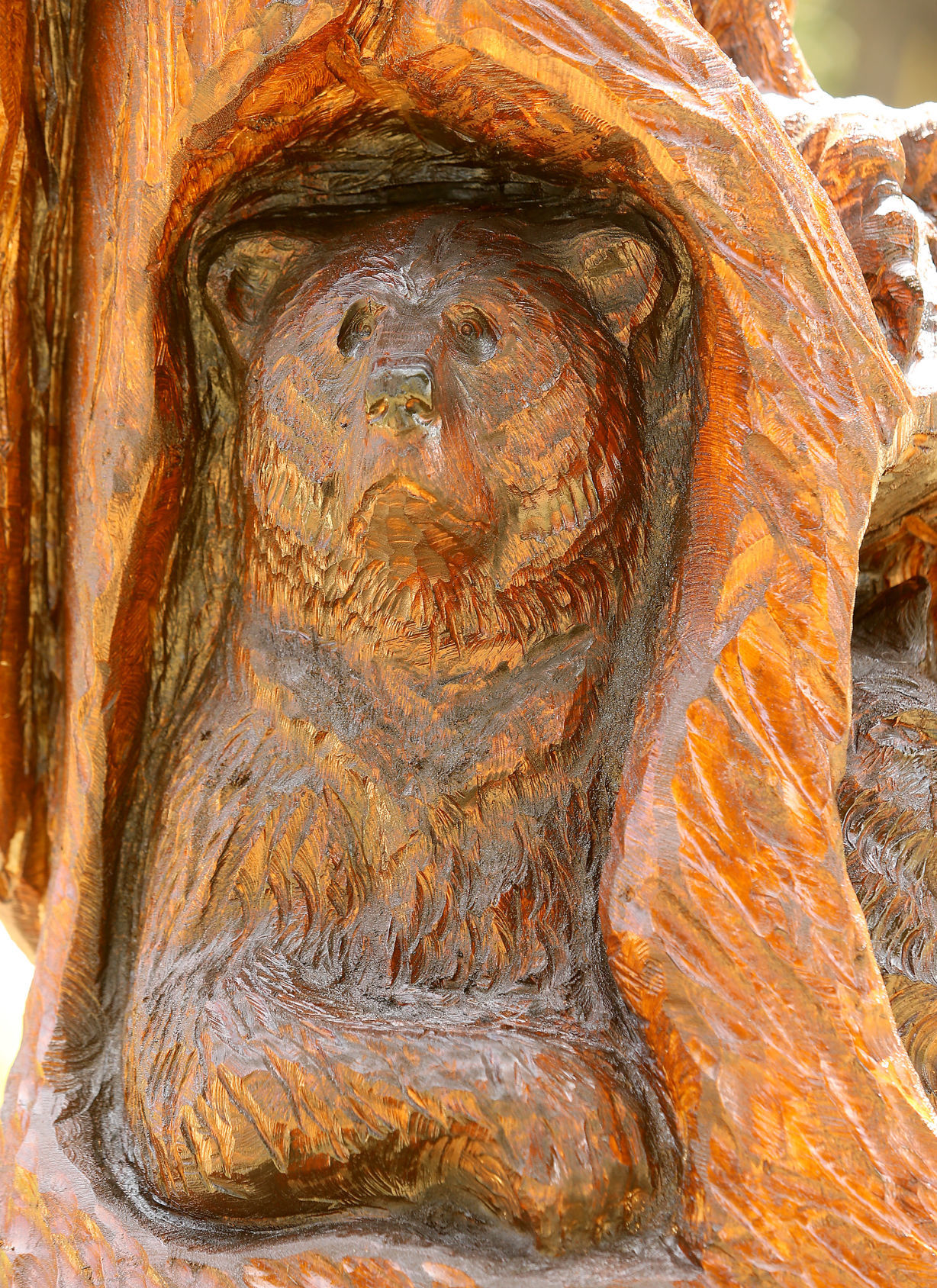 Bear carving